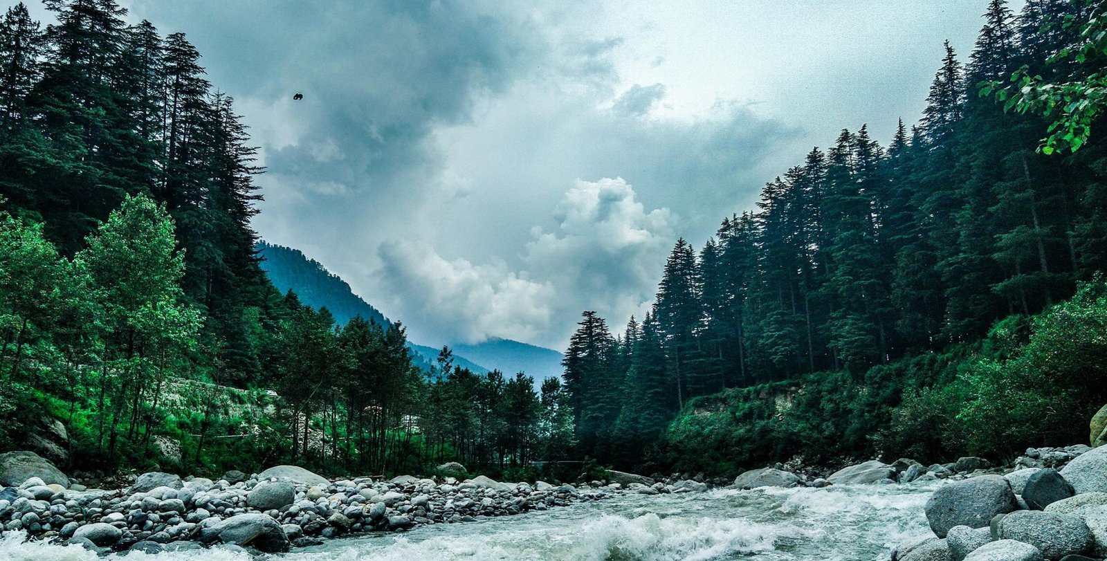 Manali