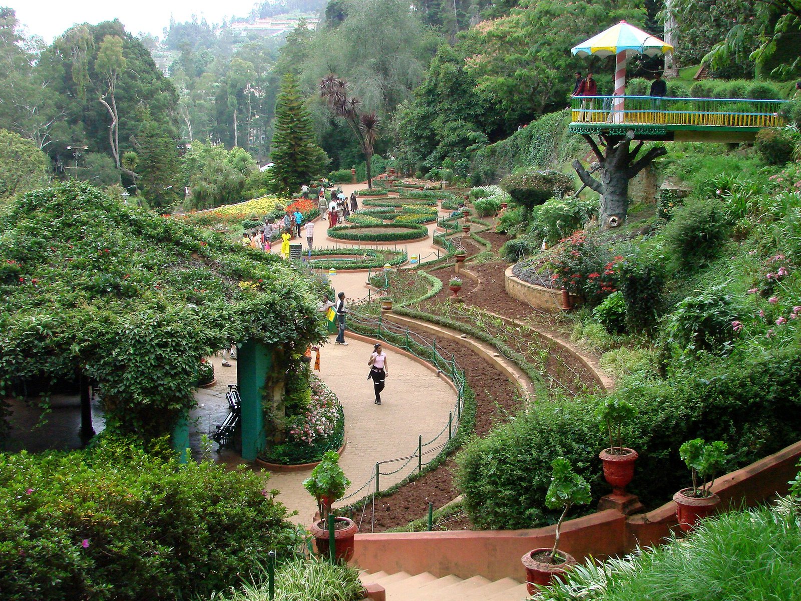 Sohra waterfalls