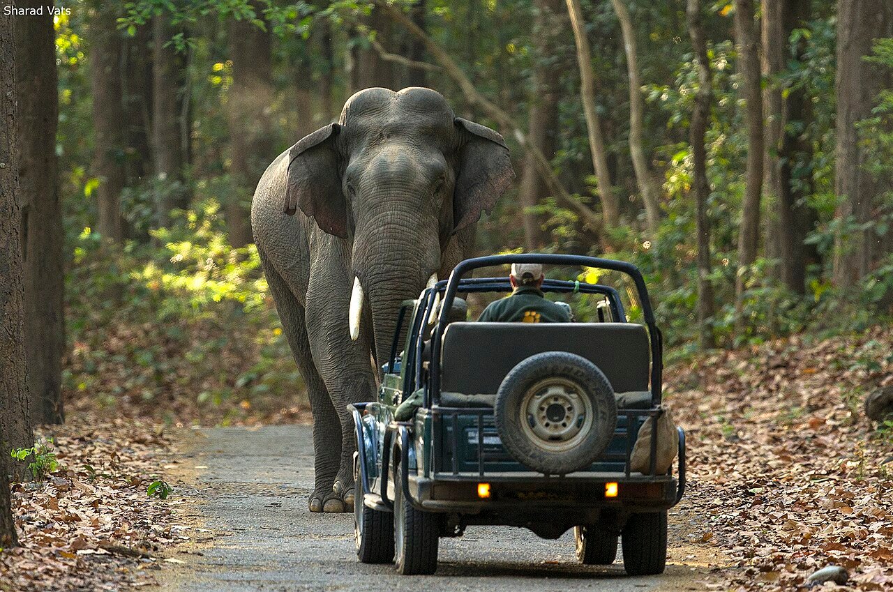 Jim Corbett photograph