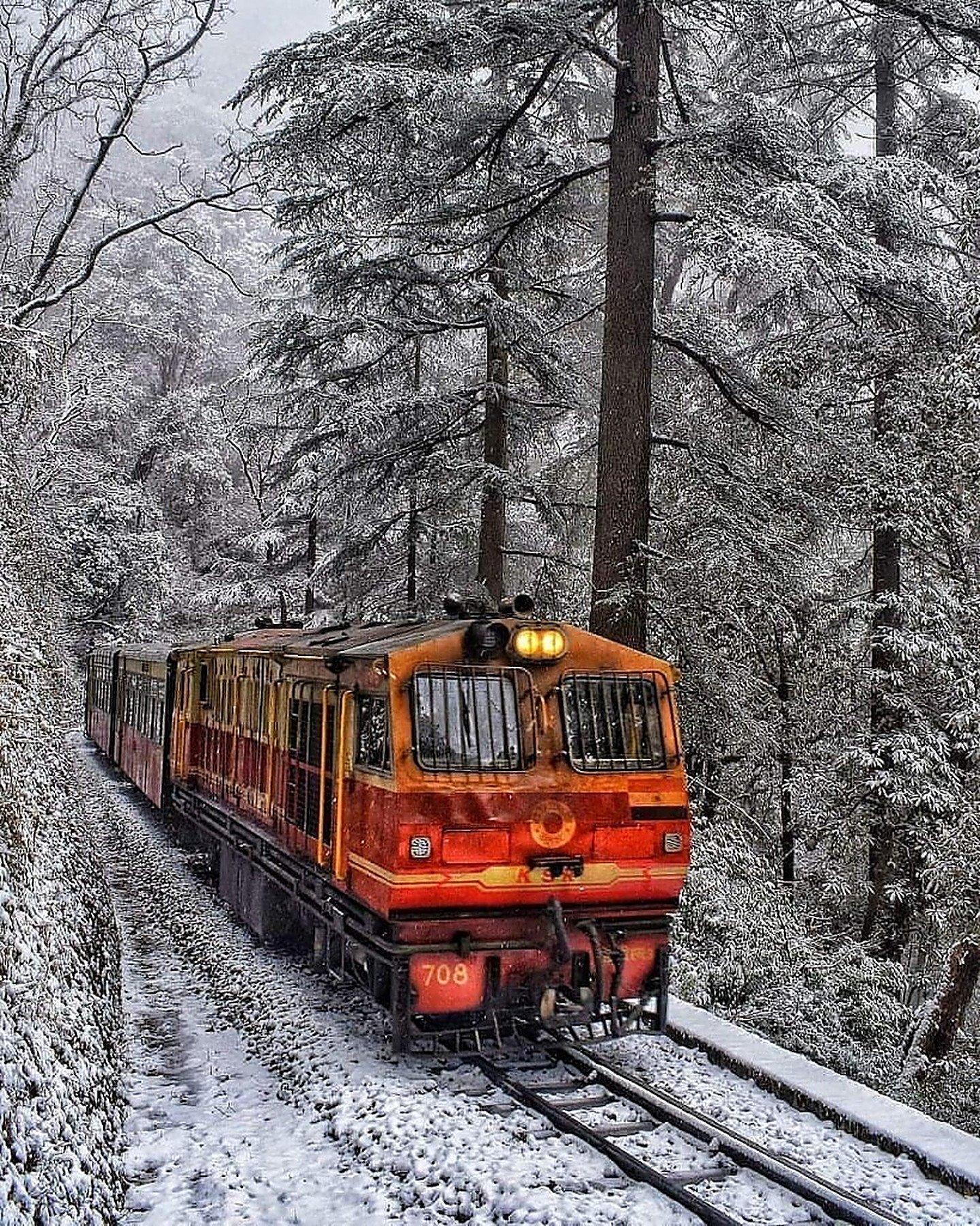 Shimla 8
