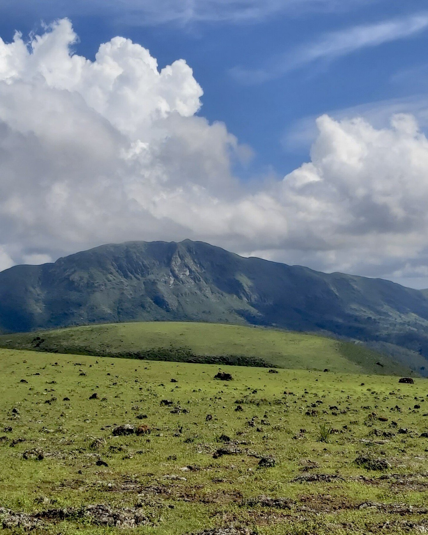 Koraput