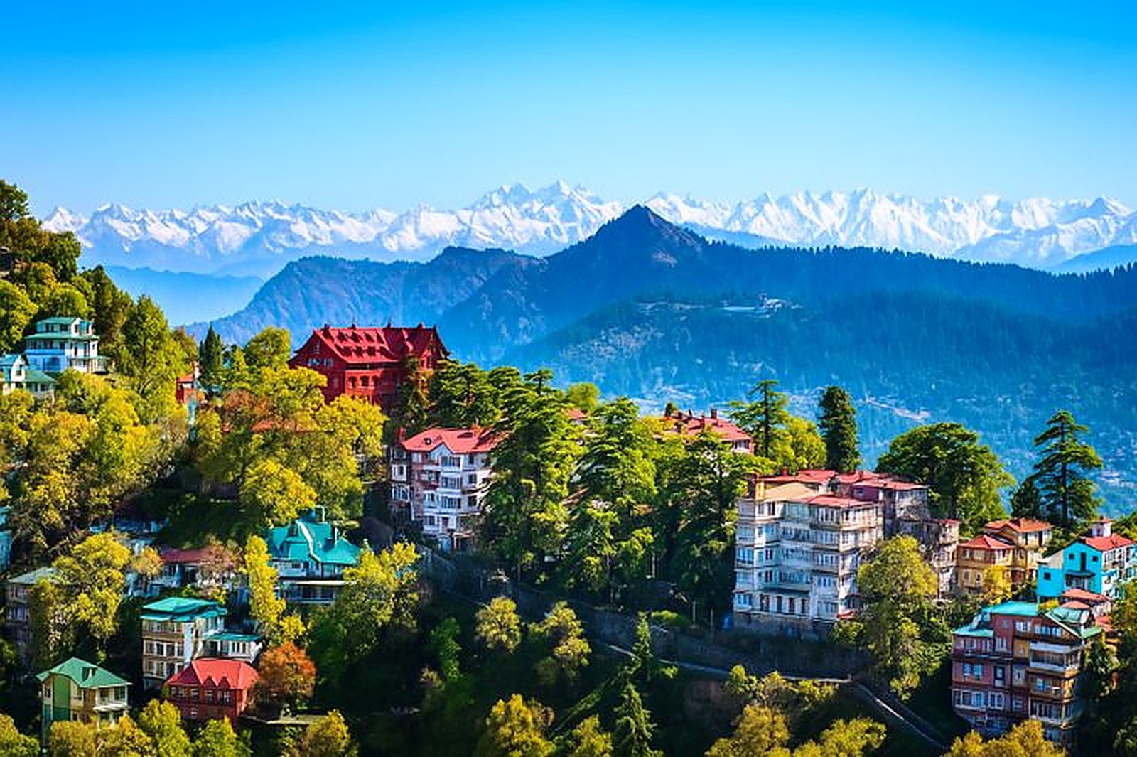 Shimla