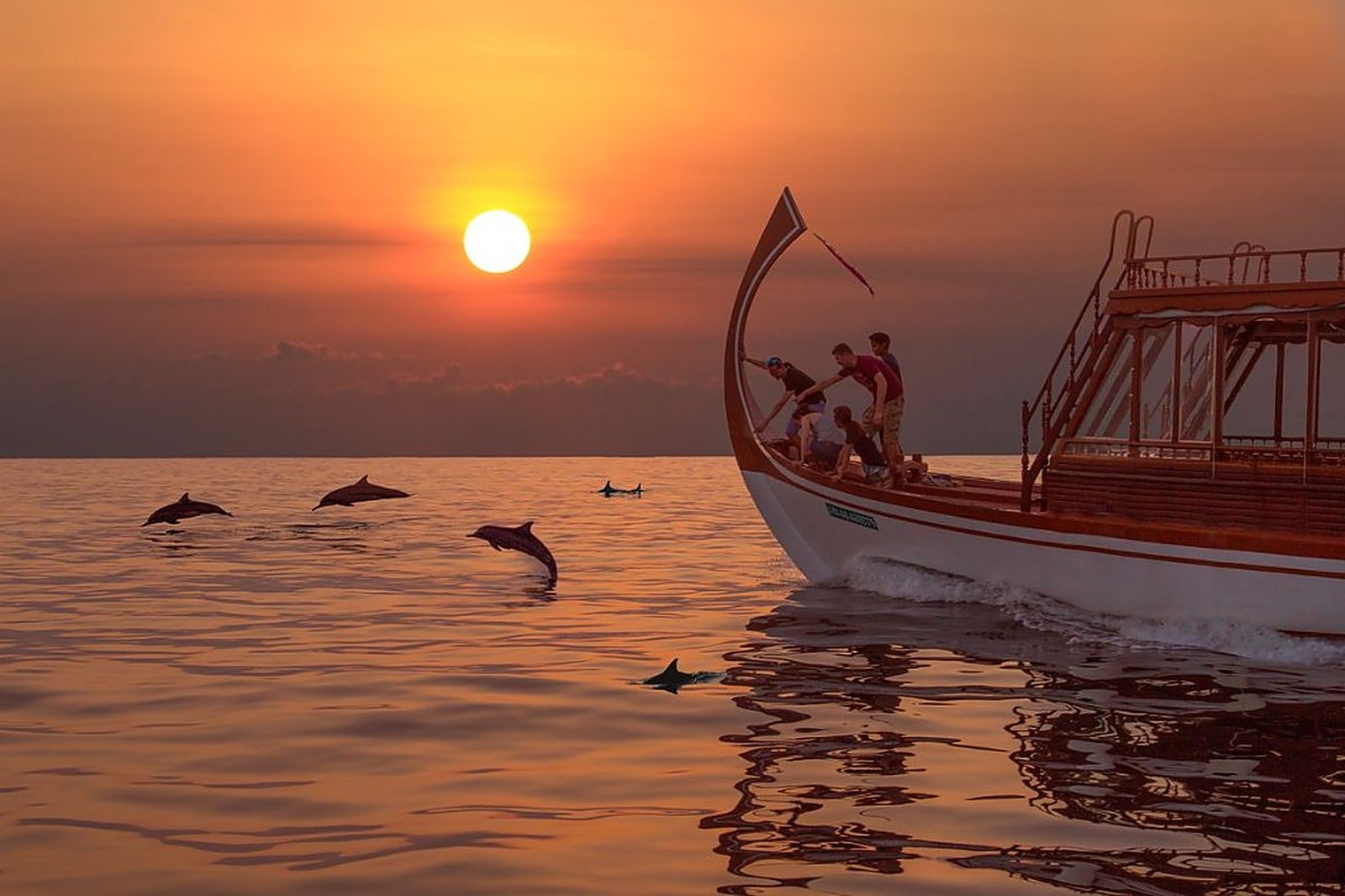 Sunset dolphin cruise