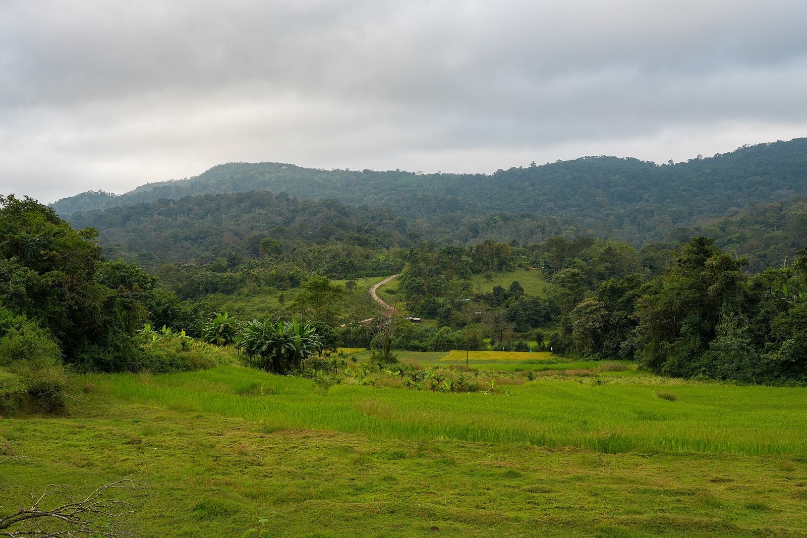 Daringbadi photograph