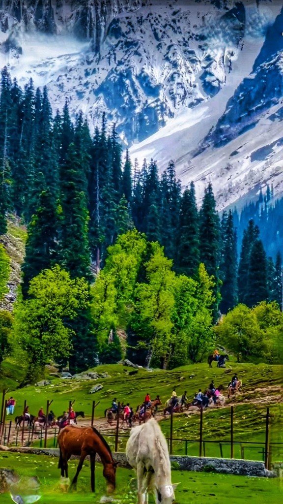 Pahalgam to Srinagar Mughal Gardens