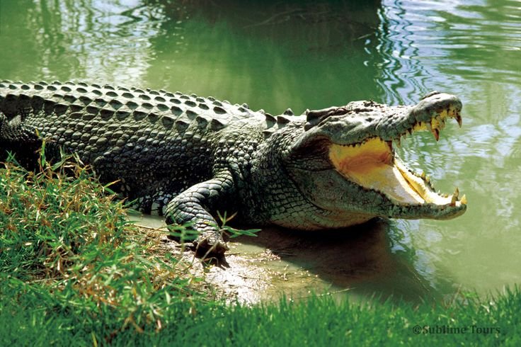 481dcaf7 efd6 4d47 a230 8ca61121e9b7