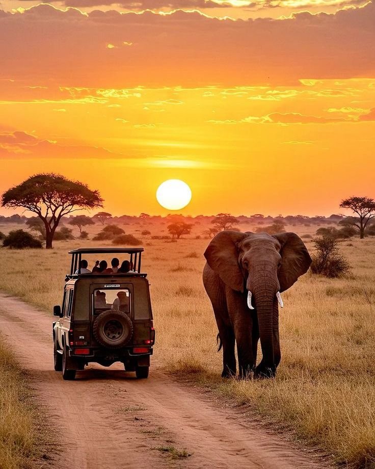 Welcome to Kenya the heart of Africa wildlife…