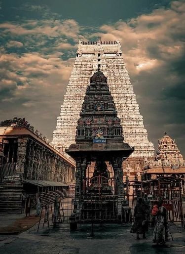 ad3346f9 ebde 4b38 9cd5 16e28ef64e2e